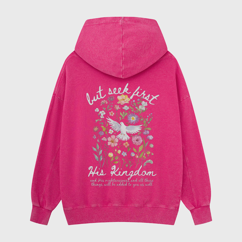 But Seek First His Kingdom Christian Washed Hoodie