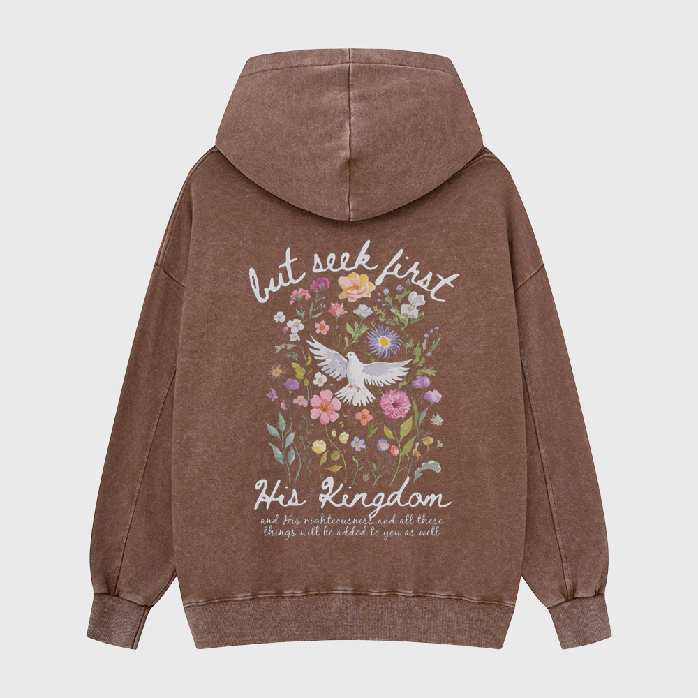 But Seek First His Kingdom Christian Washed Hoodie