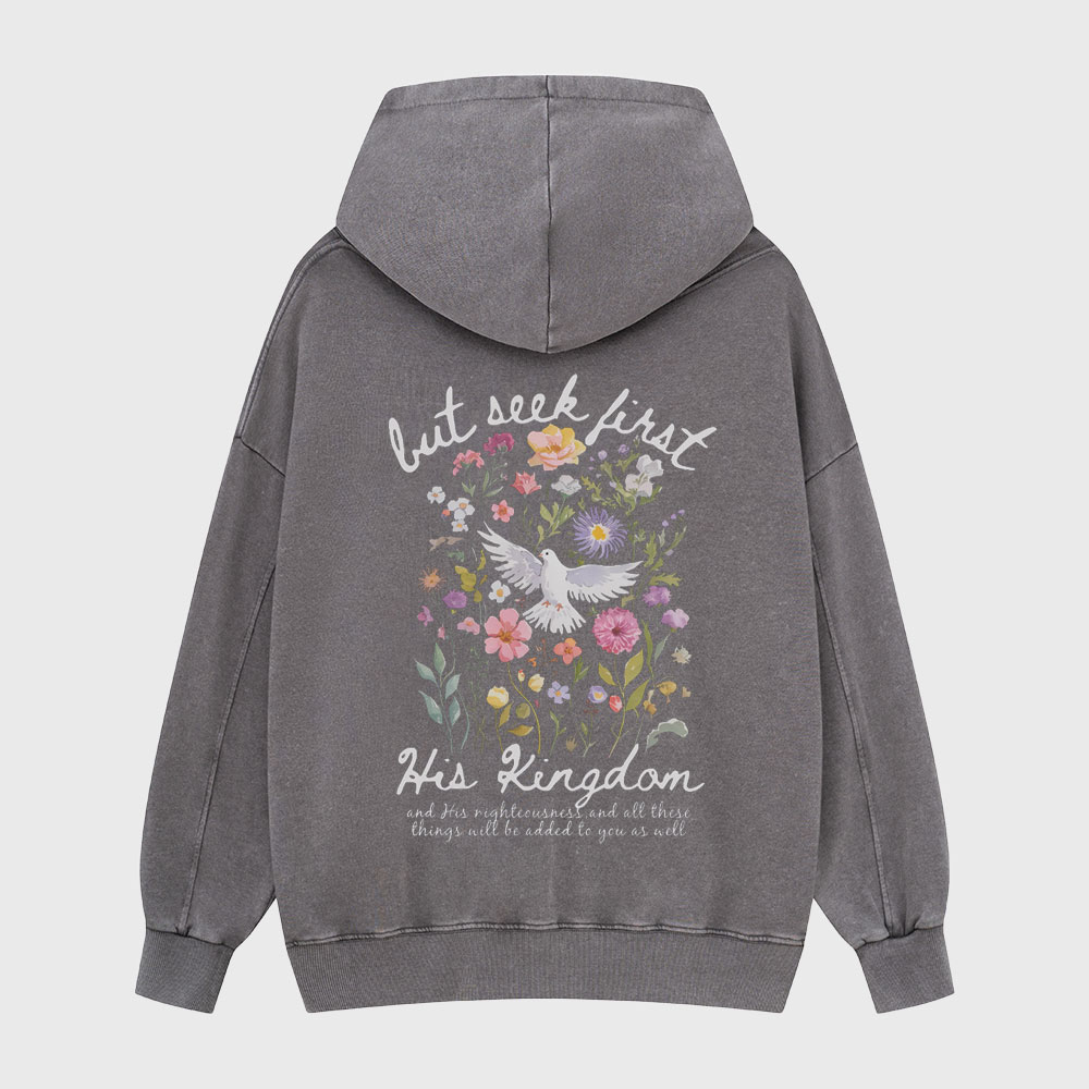 But Seek First His Kingdom Christian Washed Hoodie