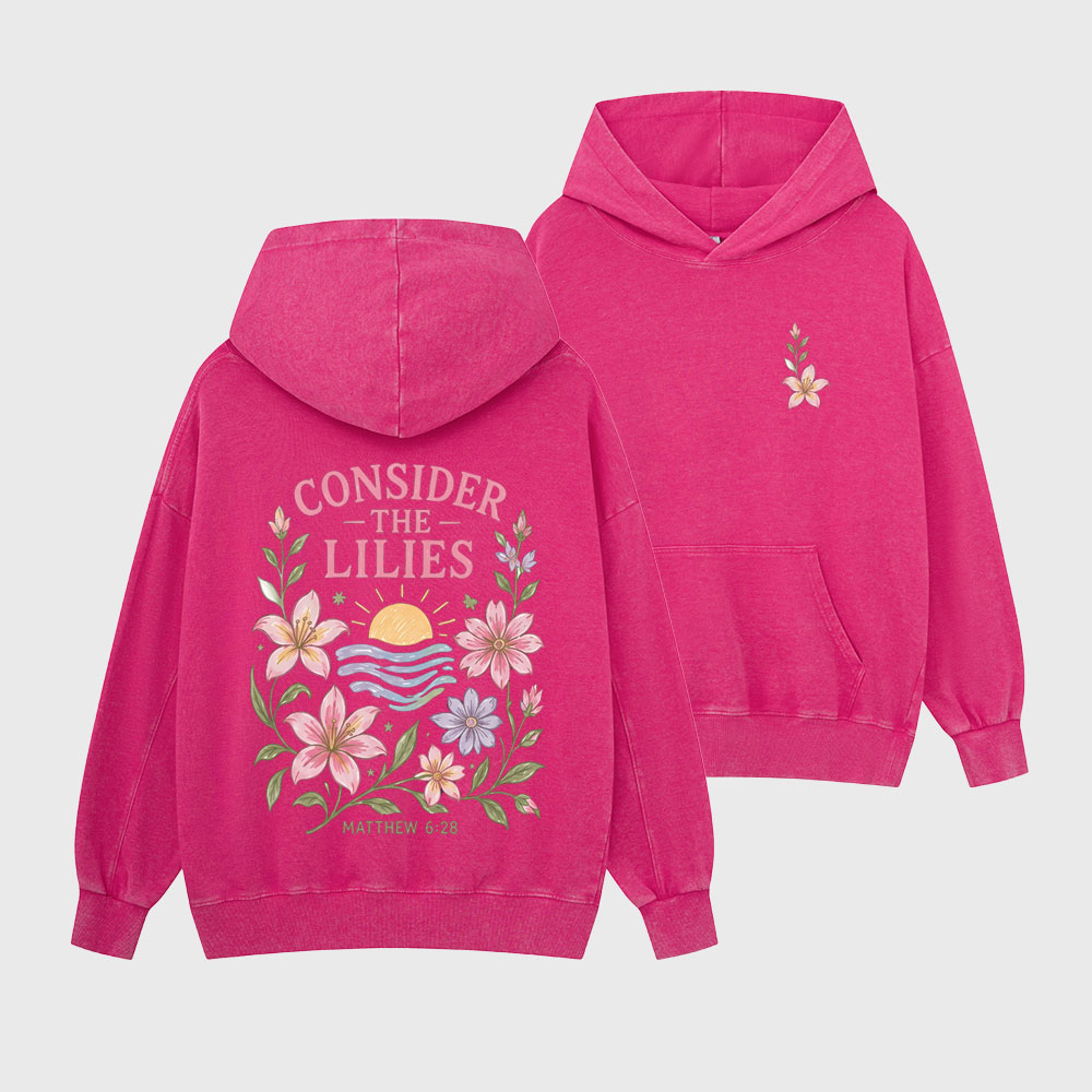 Consider The Lilies Christian Washed Hoodie