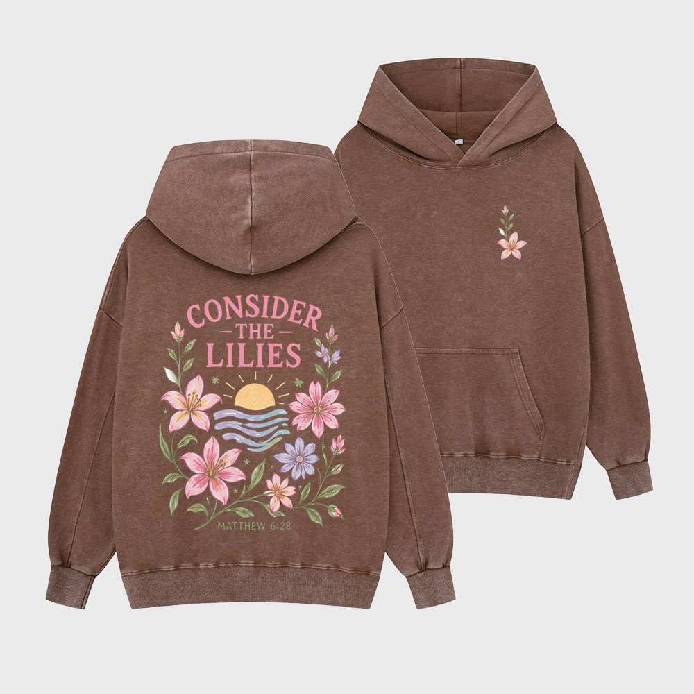 Consider The Lilies Christian Washed Hoodie