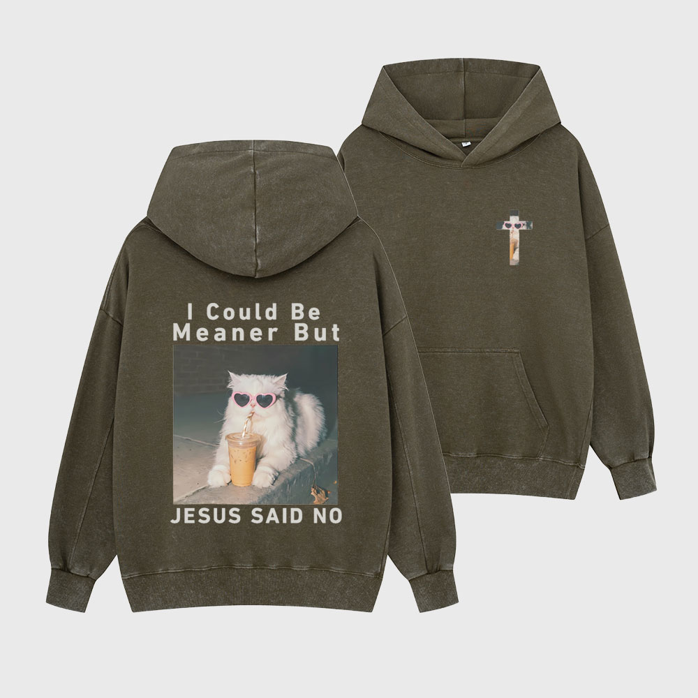 I Could Be Meaner But Jesus Said No Christian Washed Hoodie