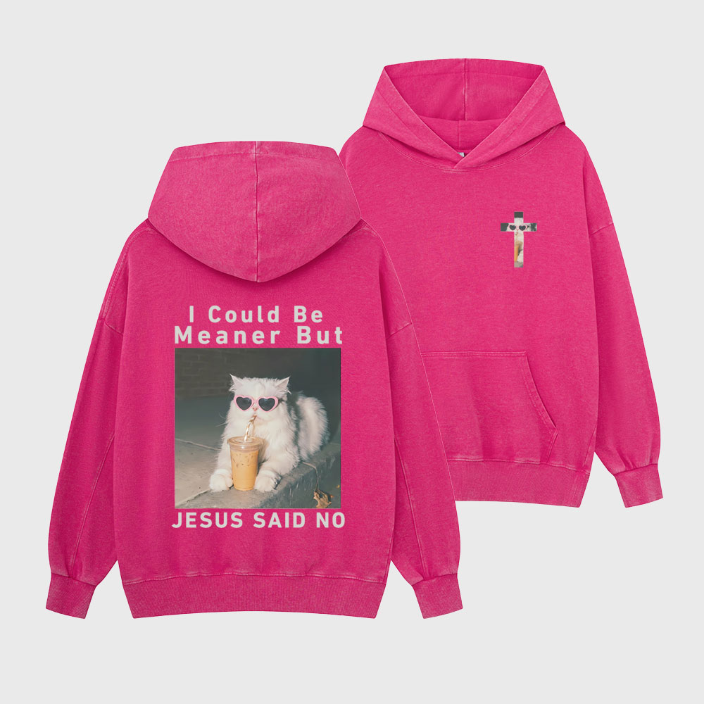 I Could Be Meaner But Jesus Said No Christian Washed Hoodie
