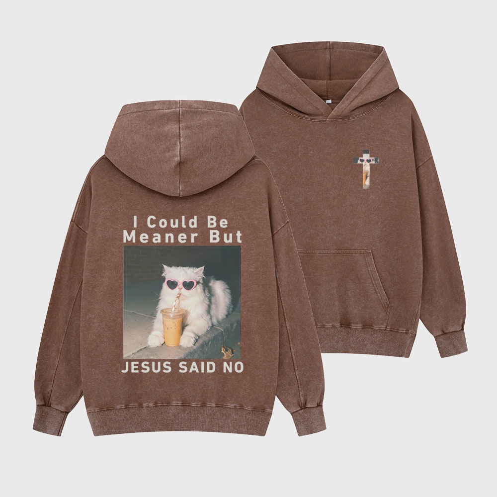 I Could Be Meaner But Jesus Said No Christian Washed Hoodie