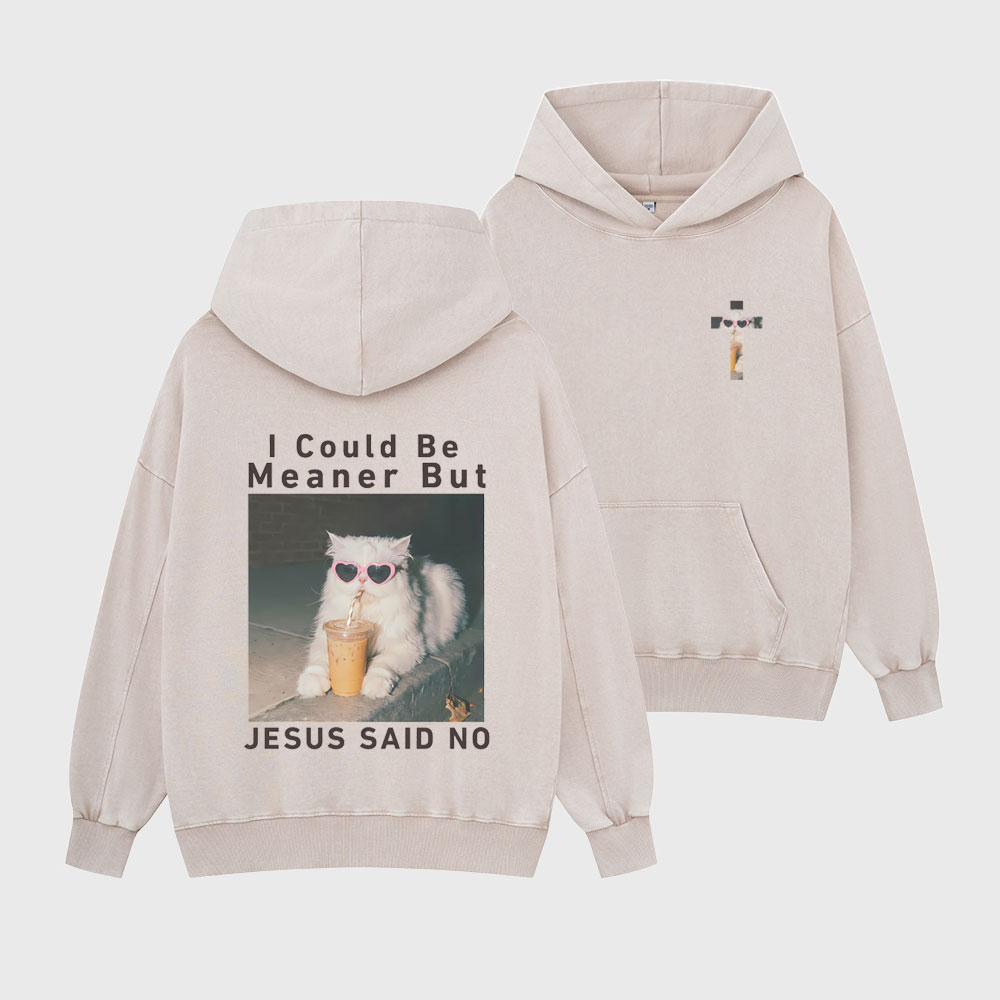 I Could Be Meaner But Jesus Said No Christian Washed Hoodie
