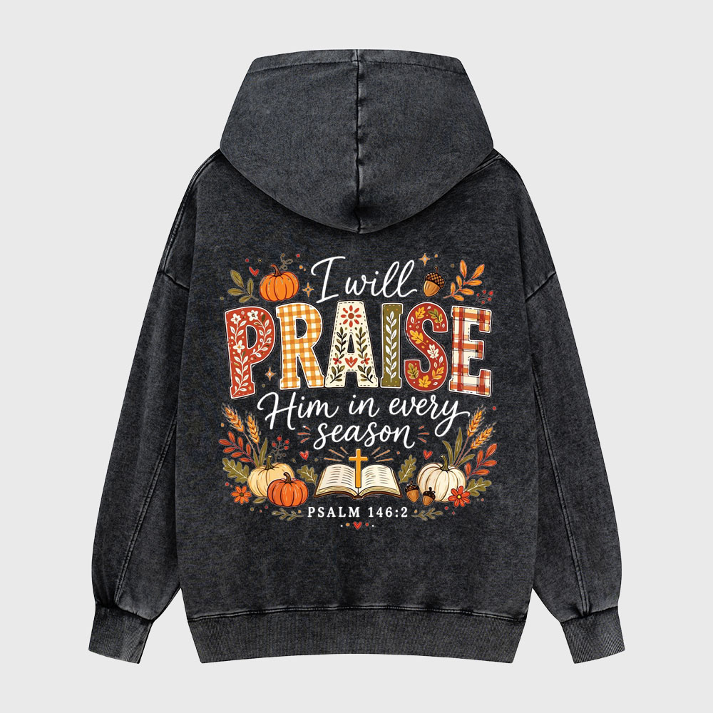 I Will Praise Him In Every Season Christian Washed Hoodie