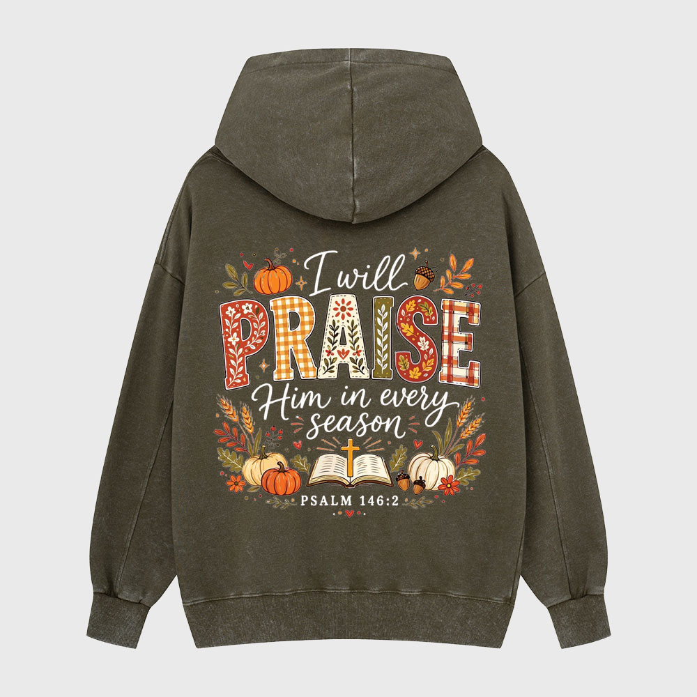 I Will Praise Him In Every Season Christian Washed Hoodie