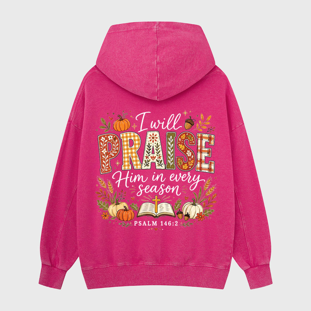 I Will Praise Him In Every Season Christian Washed Hoodie