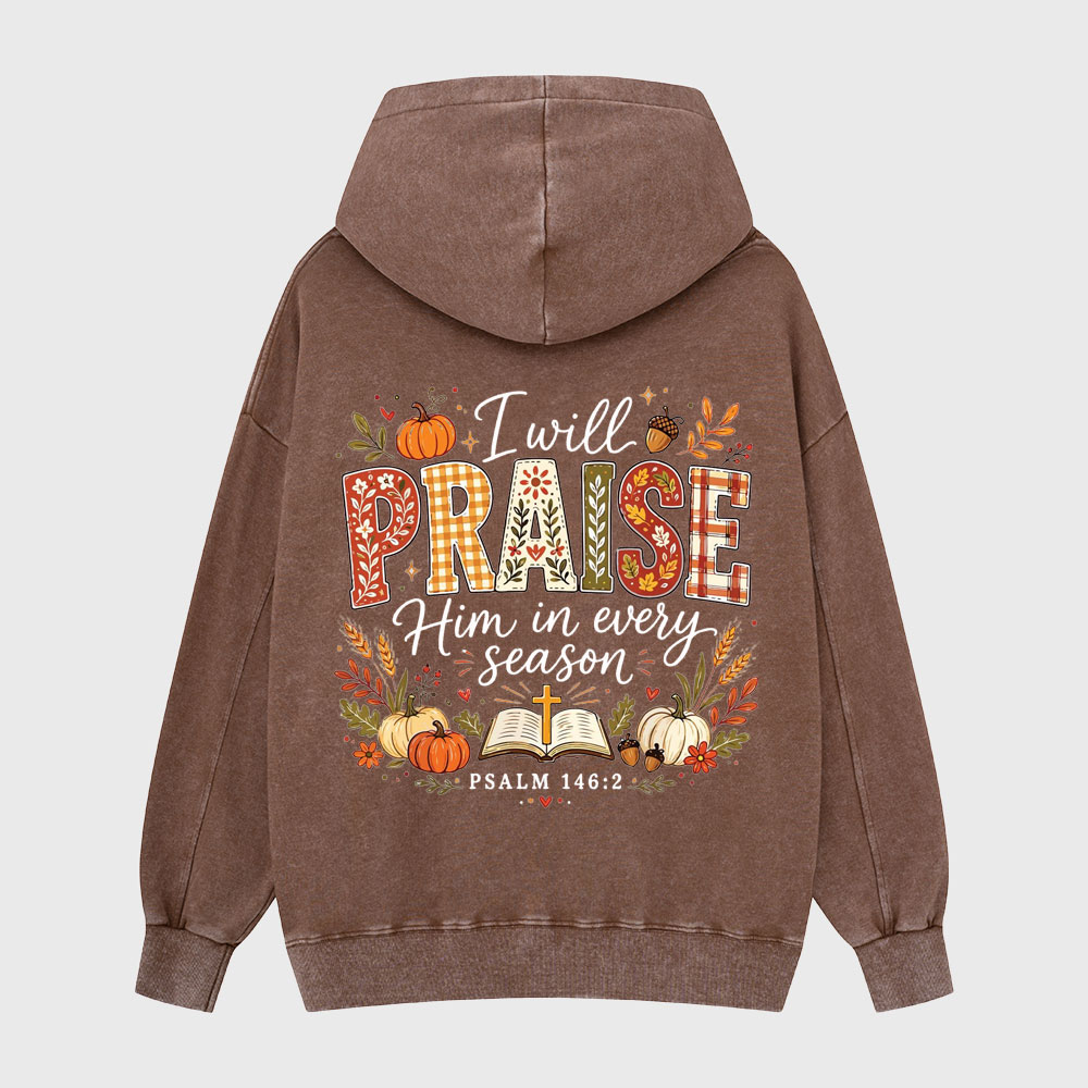 I Will Praise Him In Every Season Christian Washed Hoodie