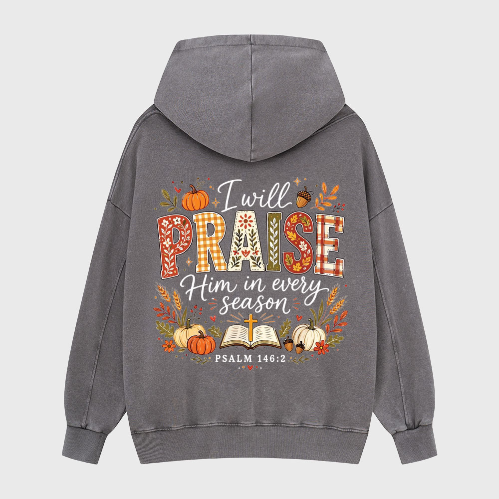 I Will Praise Him In Every Season Christian Washed Hoodie