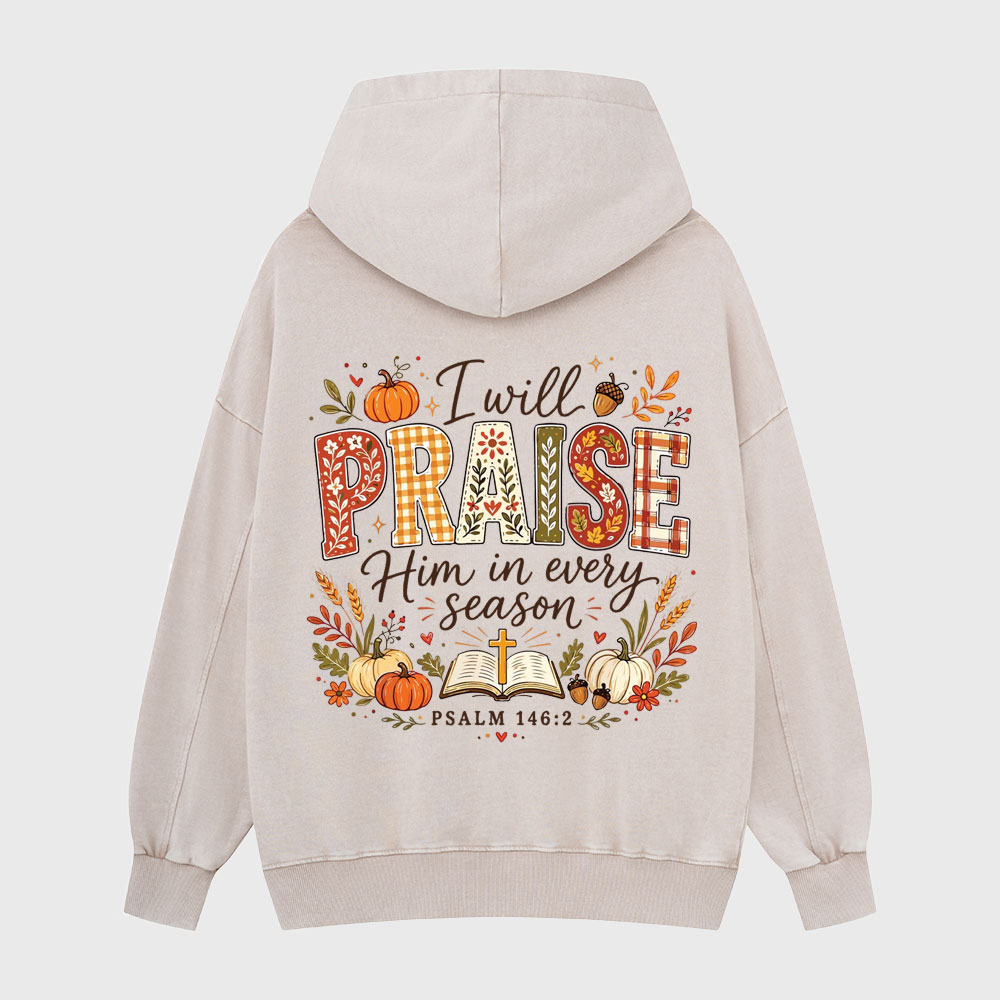 I Will Praise Him In Every Season Christian Washed Hoodie
