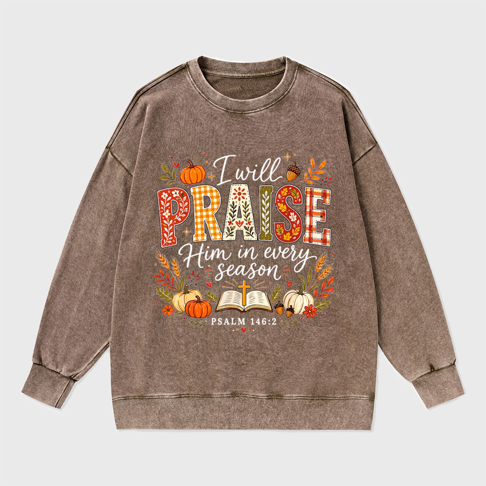 I Will Praise Him In Every Season Christian Washed Sweatshirt