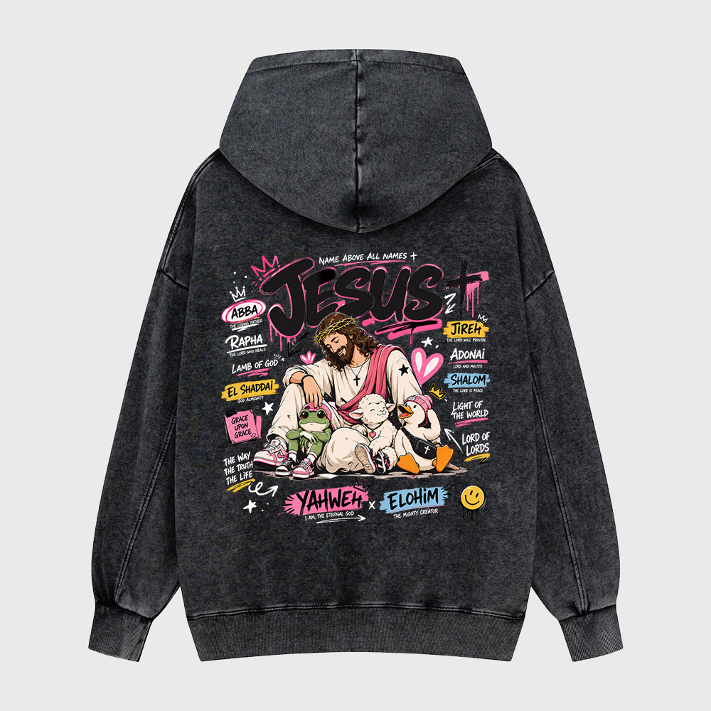 Name Above All Names Christian Washed Hoodie