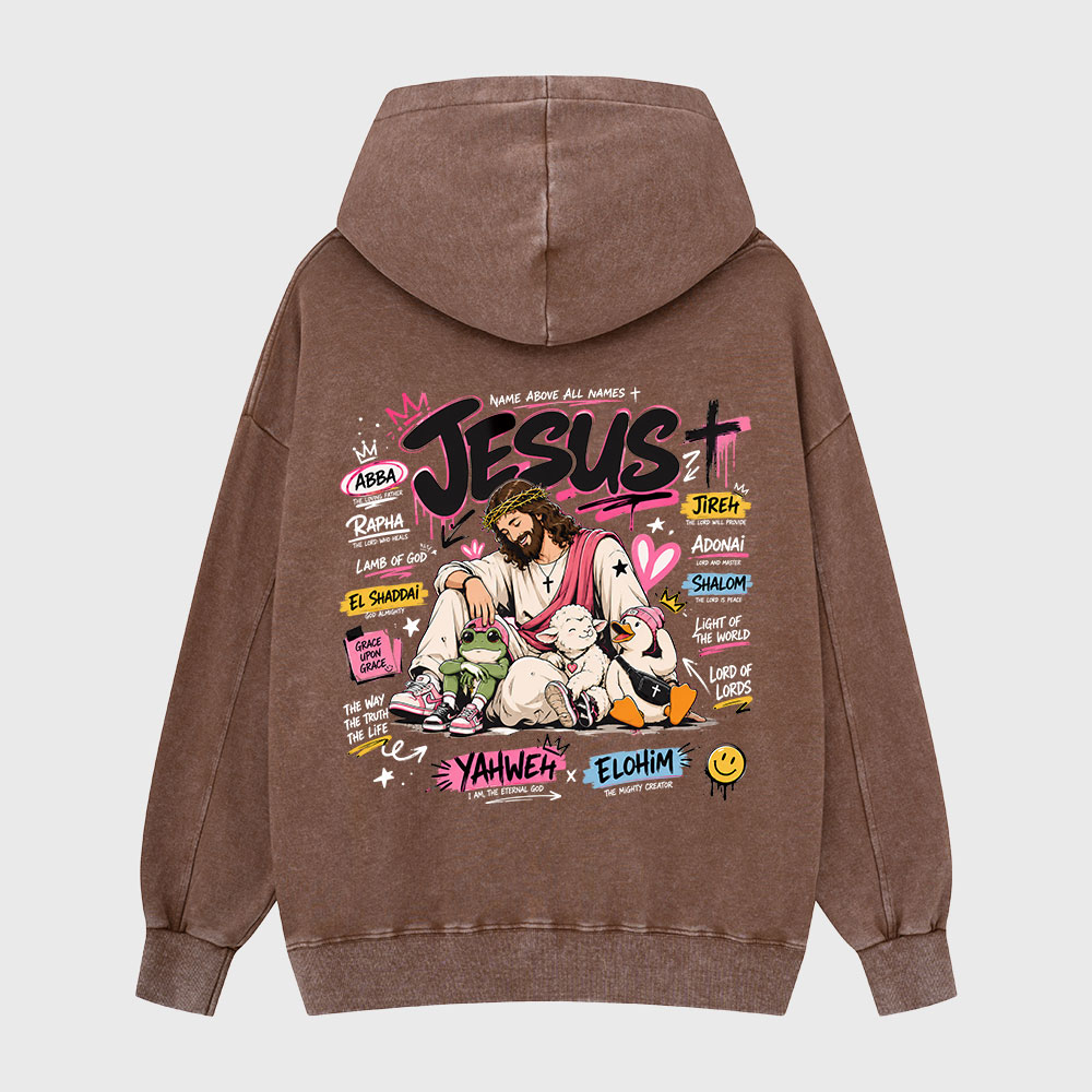 Name Above All Names Christian Washed Hoodie