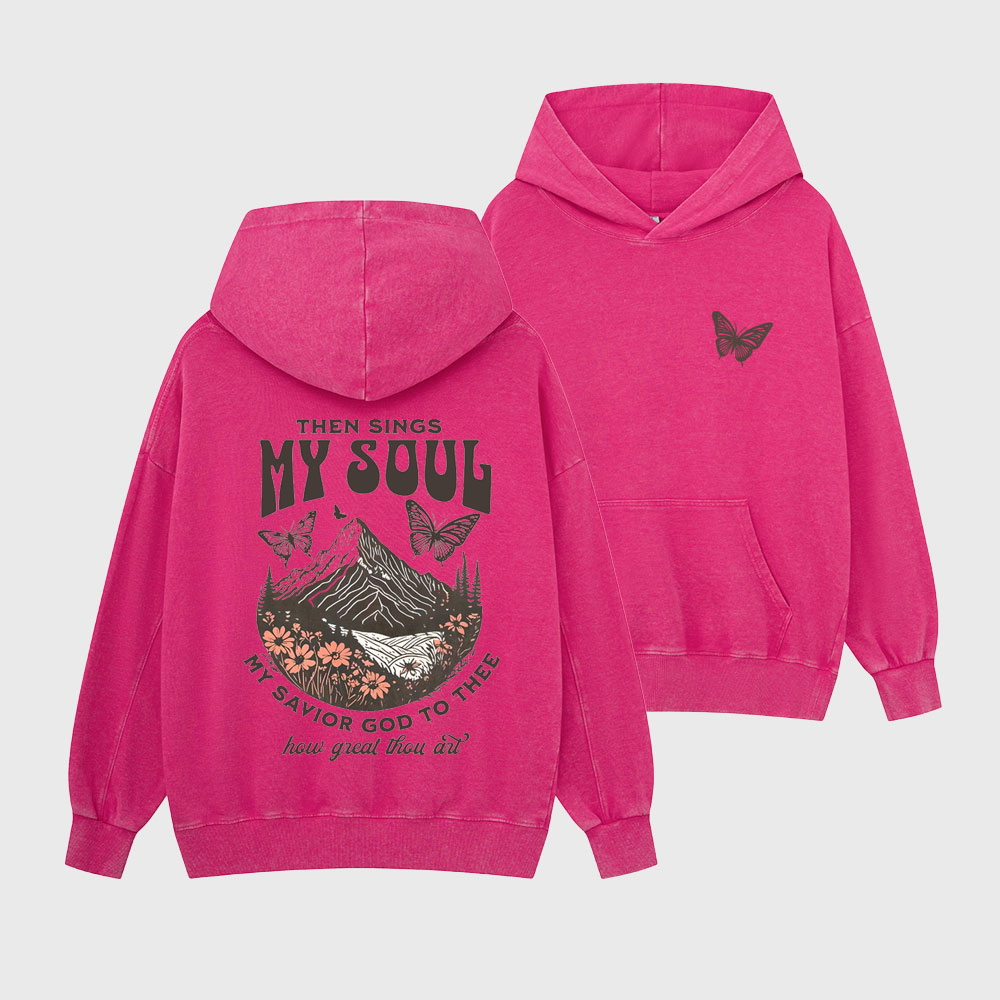 Then Sings My Soul Christian Washed Hoodie