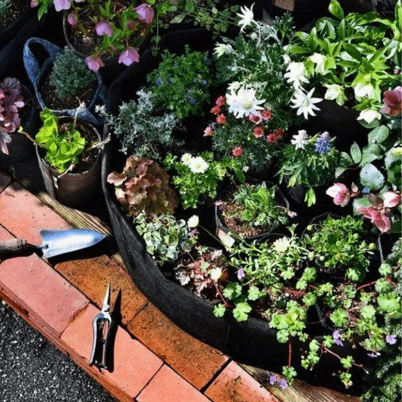 🎉Breathable Large Garden Planting Bed