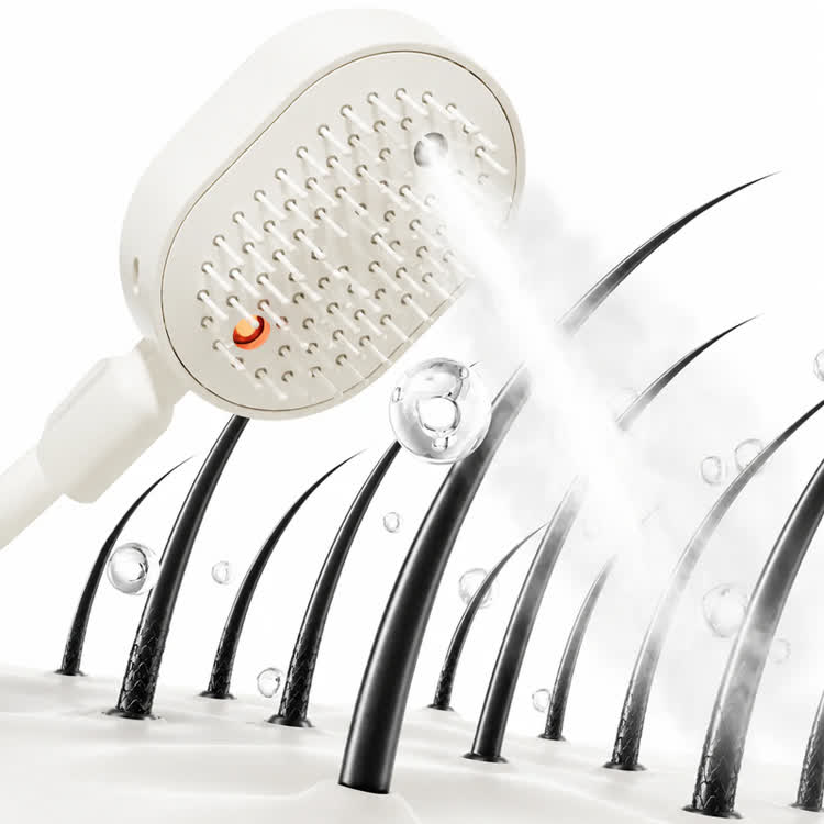 Oil Spray Detangling Comb for Frizz and Tangles