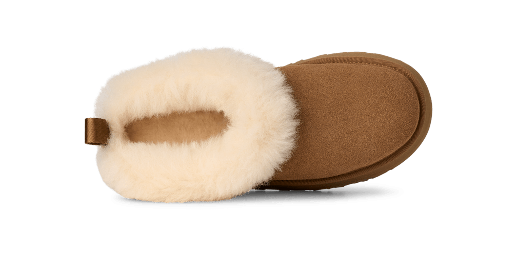 Tazzelle - CHESTNUT