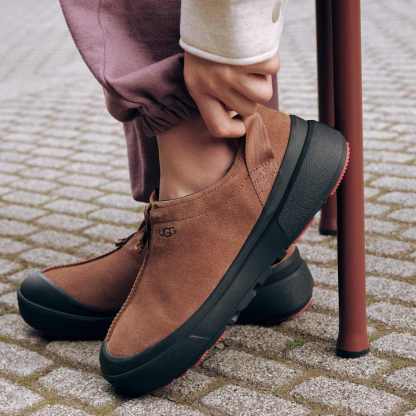 Tasman Outpost - DARK CHESTNUT