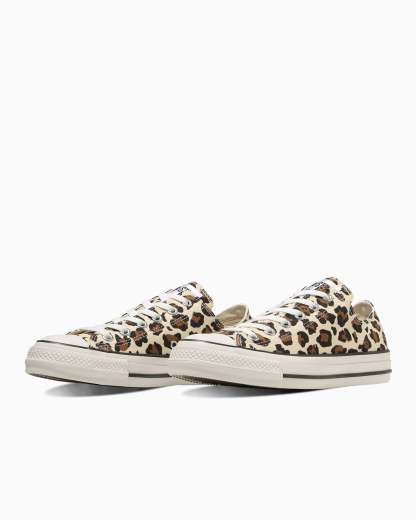 CONVERSE ALL STAR Ⓡ LEOPARD OX - ブラウン - 2