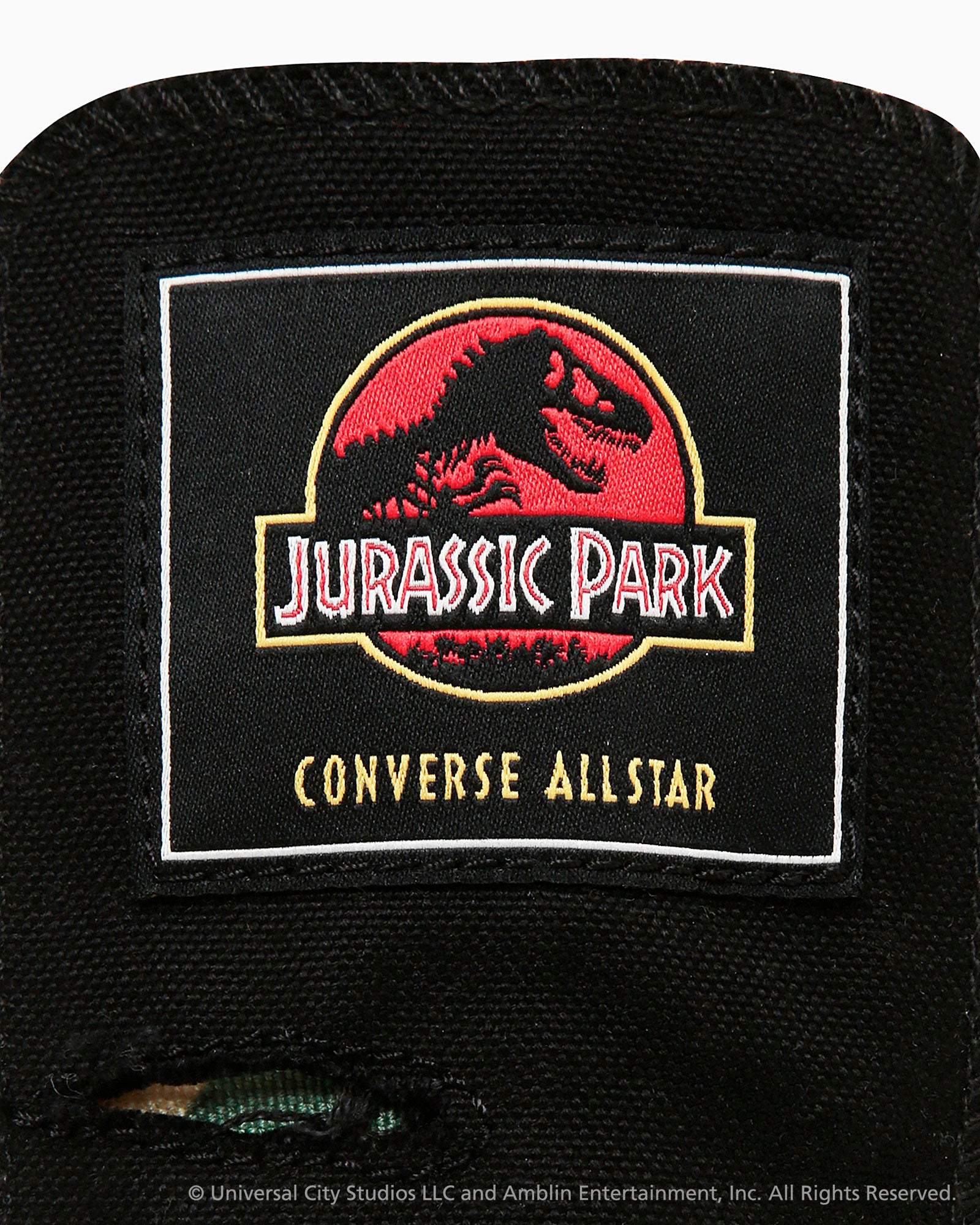 CONVERSE ALL STAR AGED RL HI / JURASSIC PARK - ブラック/カモ - 13