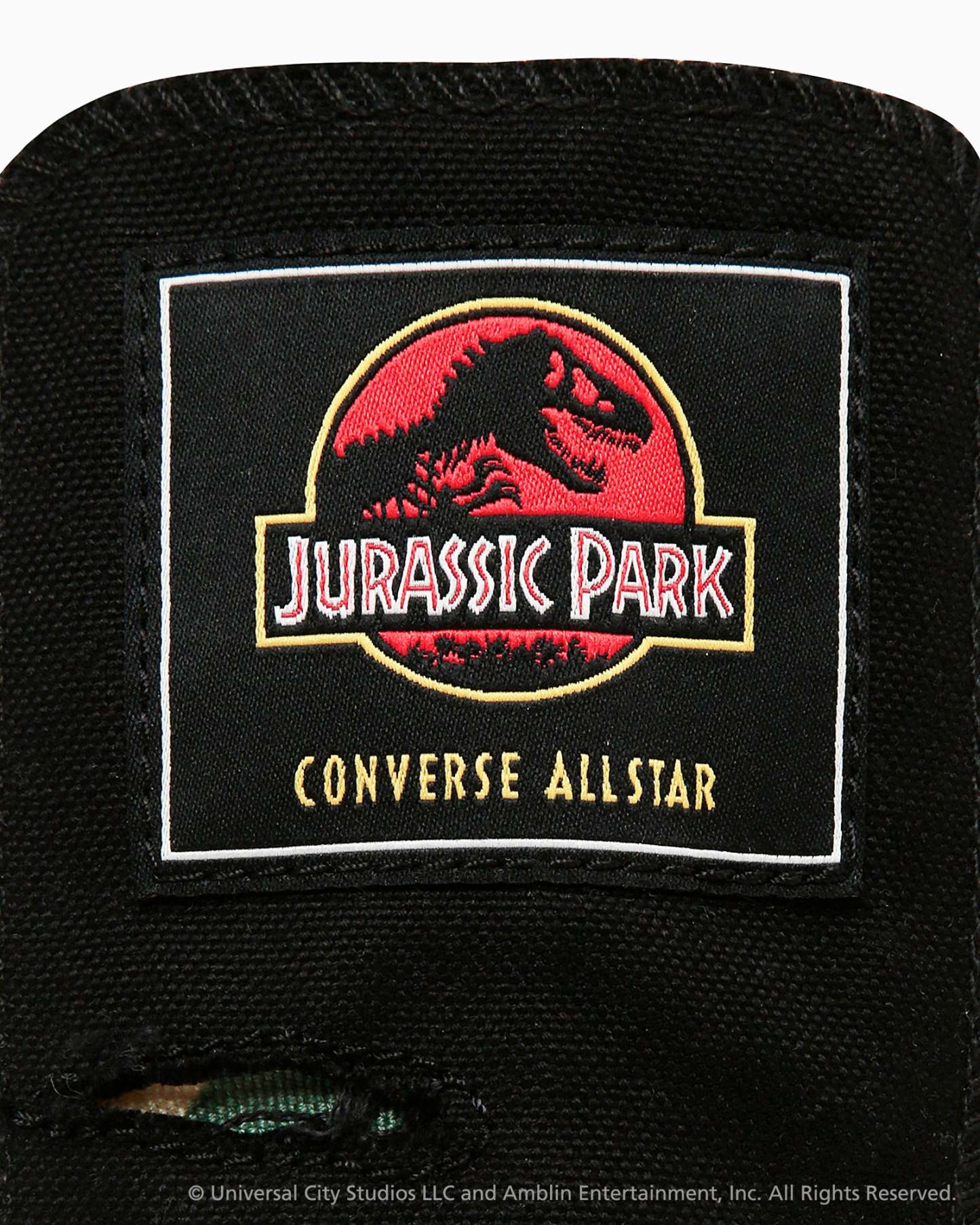 CONVERSE ALL STAR AGED RL HI / JURASSIC PARK - ブラック/カモ - 13