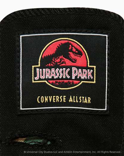 CONVERSE ALL STAR AGED RL HI / JURASSIC PARK - ブラック/カモ - 13