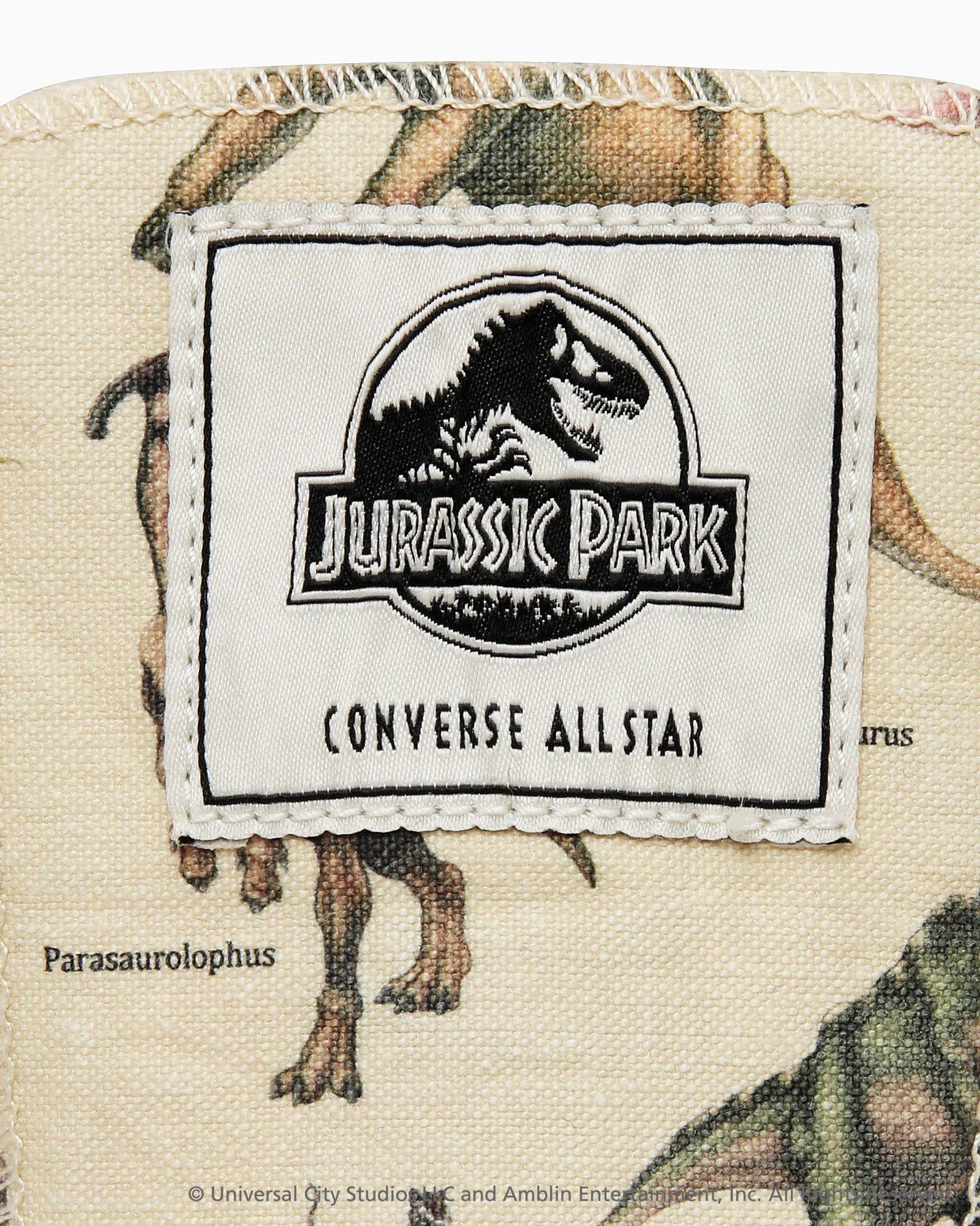 CONVERSE ALL STAR AGED DP HI / JURASSIC PARK - ナチュラル - 10