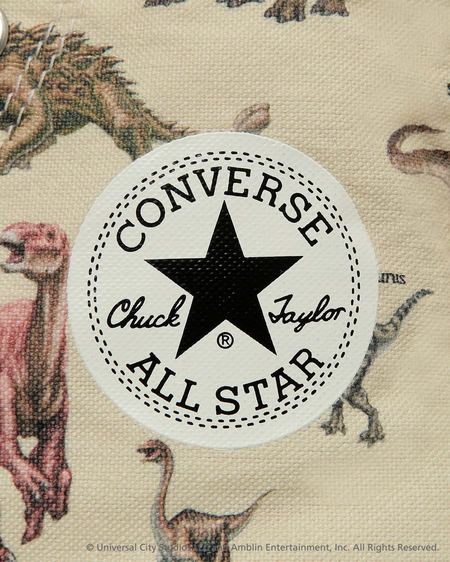 CONVERSE ALL STAR AGED DP HI / JURASSIC PARK - ナチュラル - 9