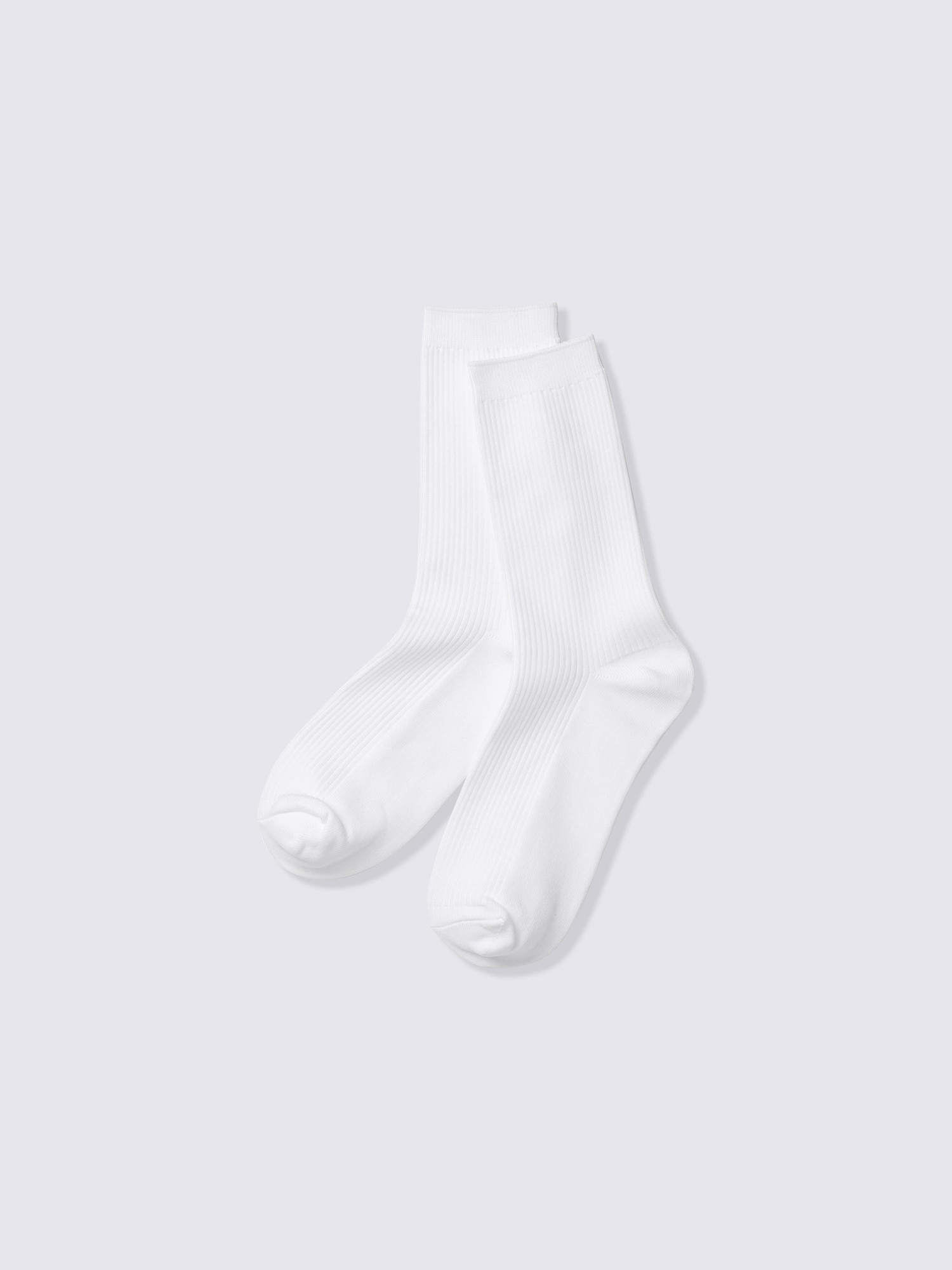 リブクルーソックス - 01 OFF WHITE