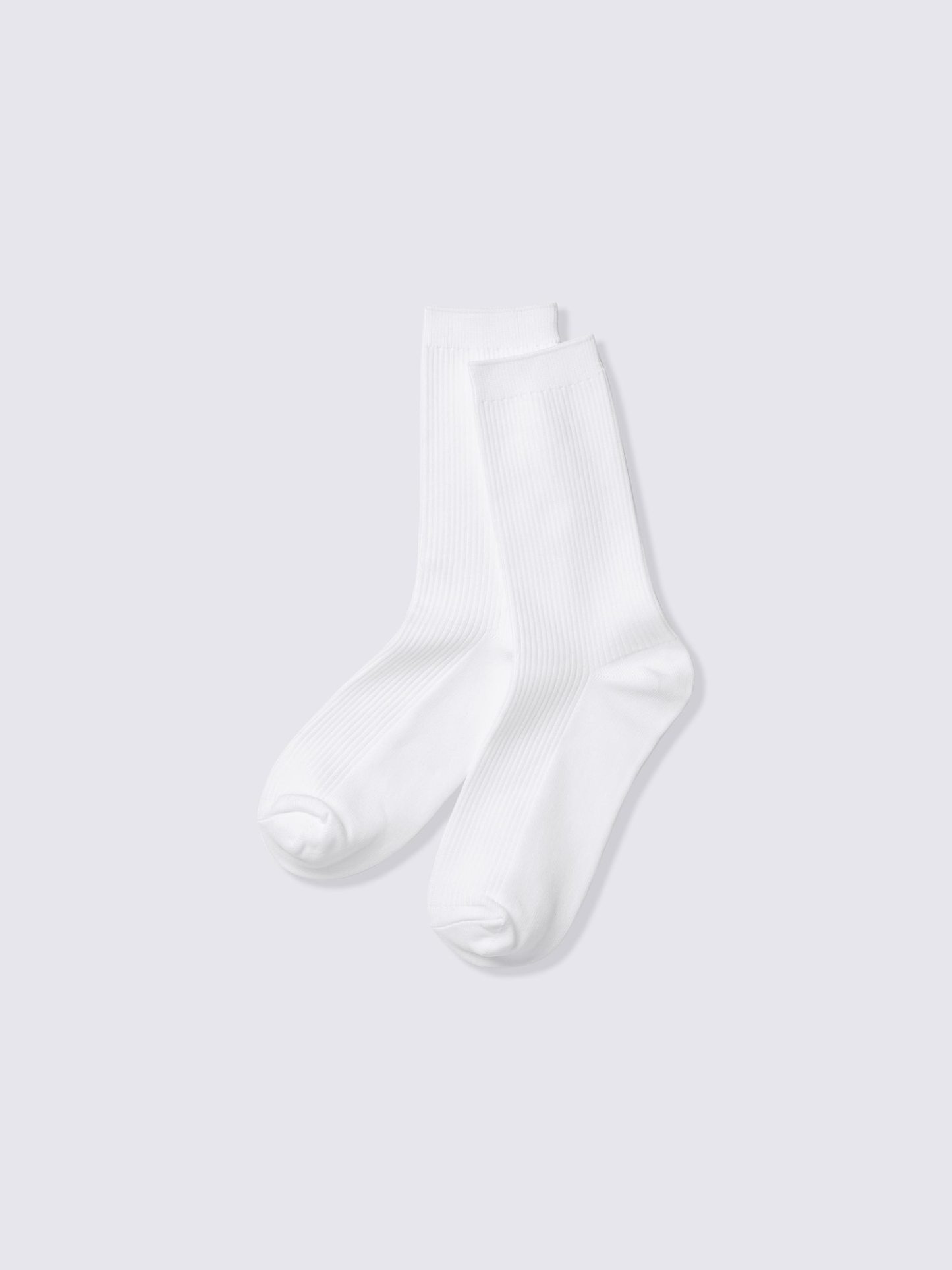 リブクルーソックス - 01 OFF WHITE