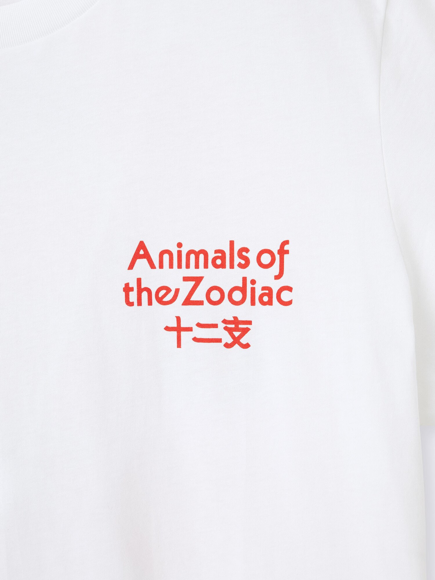 グラフィックT COCHAE