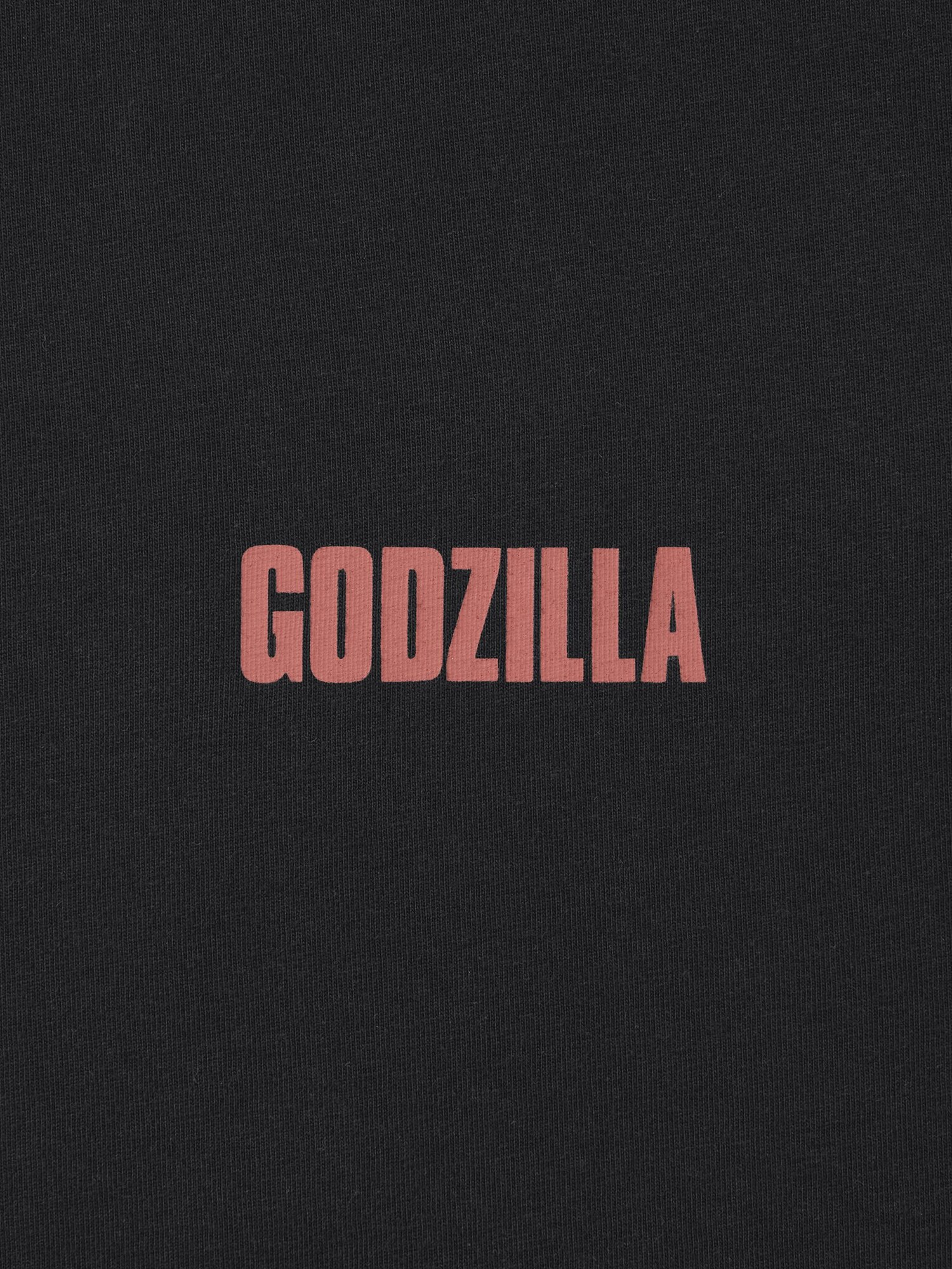 グラフィックT GODZILLA