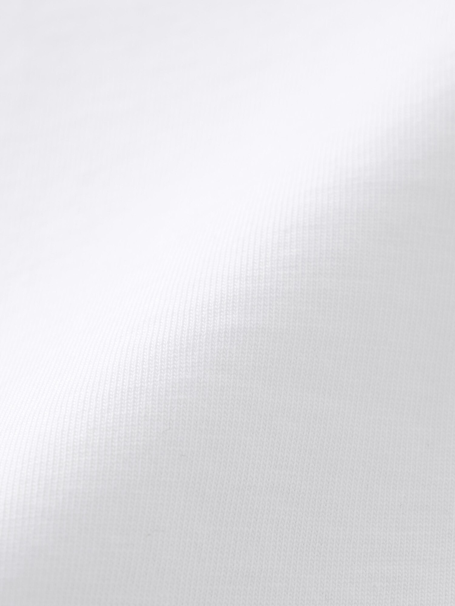グラフィックT 竹田匡志
