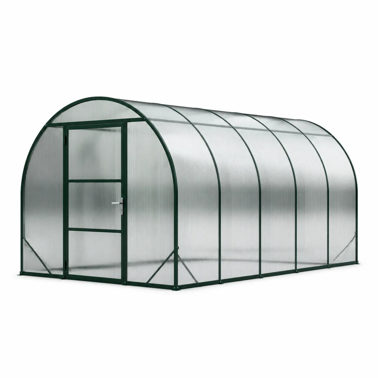Invernadero de Jardín Tipo Túnel 300x200x200 cm Policarbonato Transparente