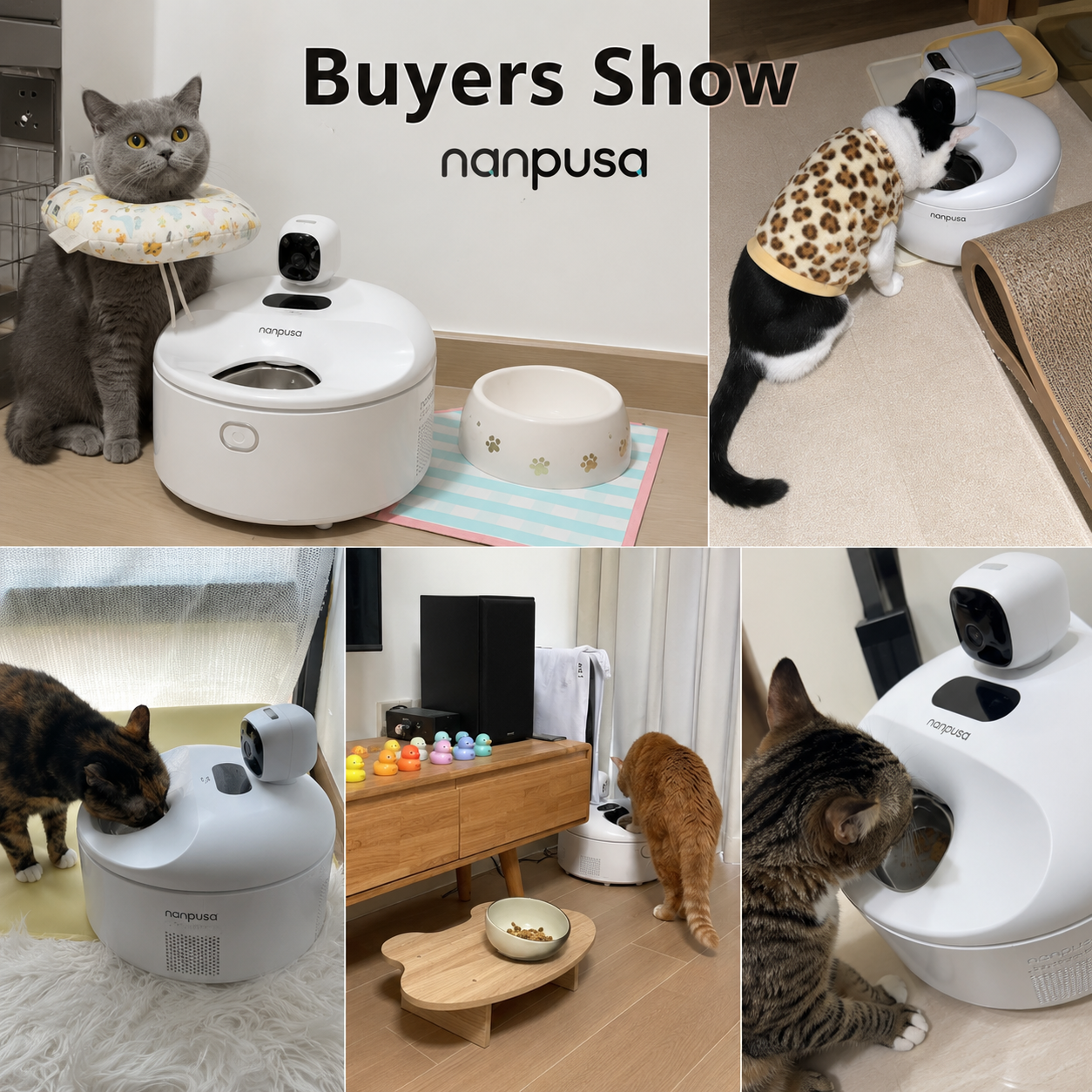 2026 Smart Automatic Cat Feeder with Cooling & Warming Function – Stainless Steel Bowl Pet Food Dispenser for Wet Food Preservation