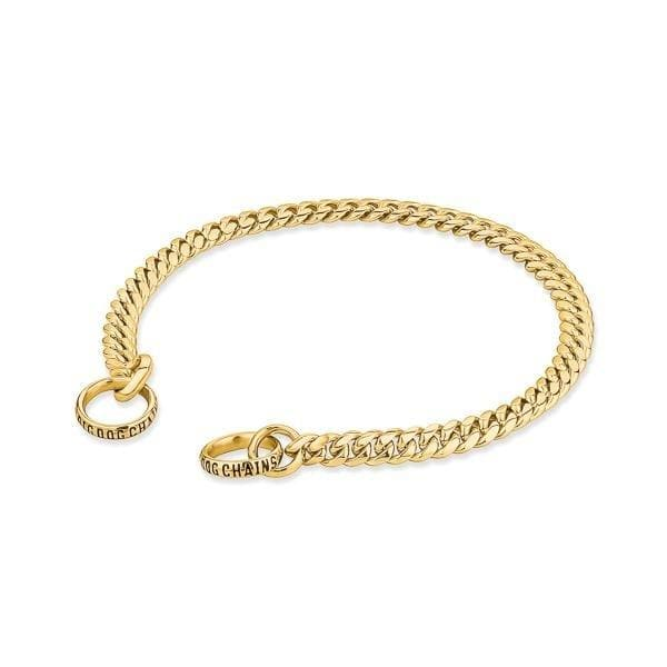 Gold Training Dog Collar Cuban Link Premium