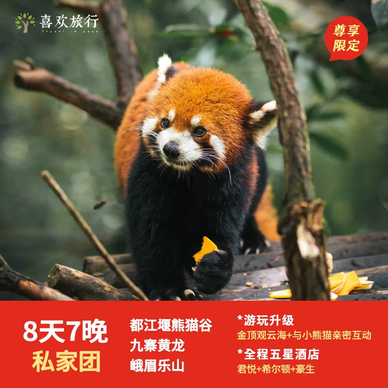 8-day private Sichuan highlights tour: Chengdu, Jiuzhaigou, Leshan (stays at Hilton, Howard Johnson, and Grand Hyatt)