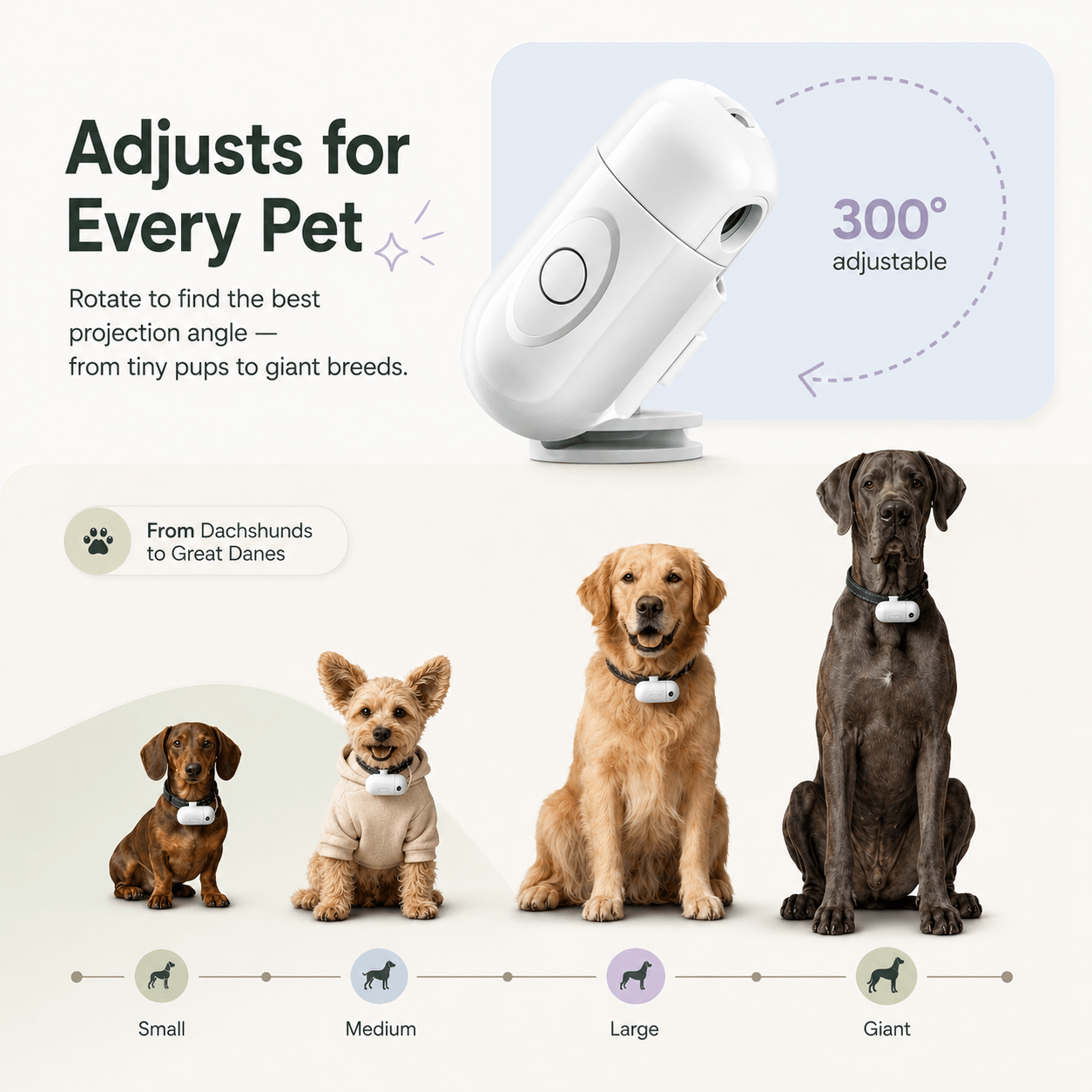 Custom Pet Projector Light