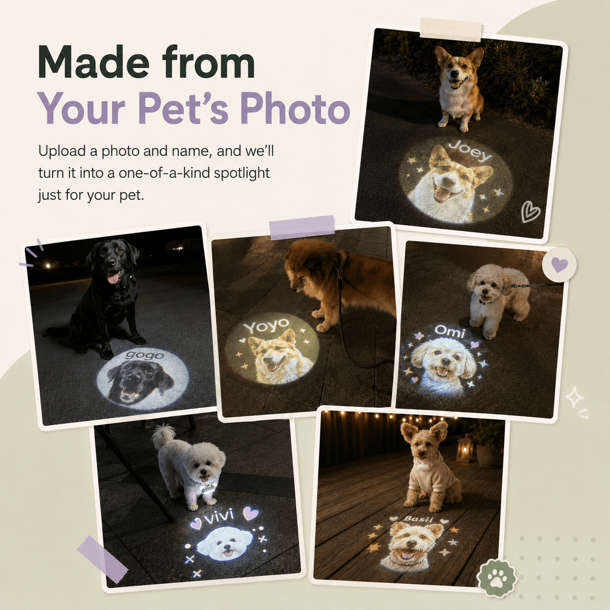 Custom Pet Projector Light