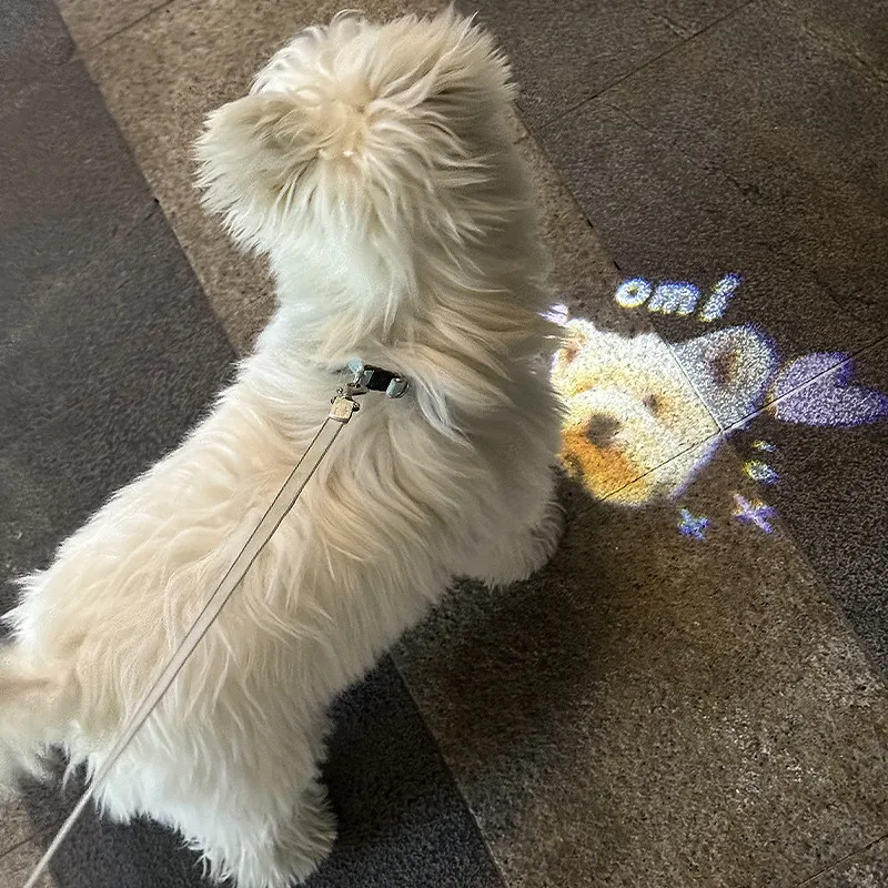 Custom Pet Photo Projector Light – Personalized Nighttime Dog Walking Safety Light