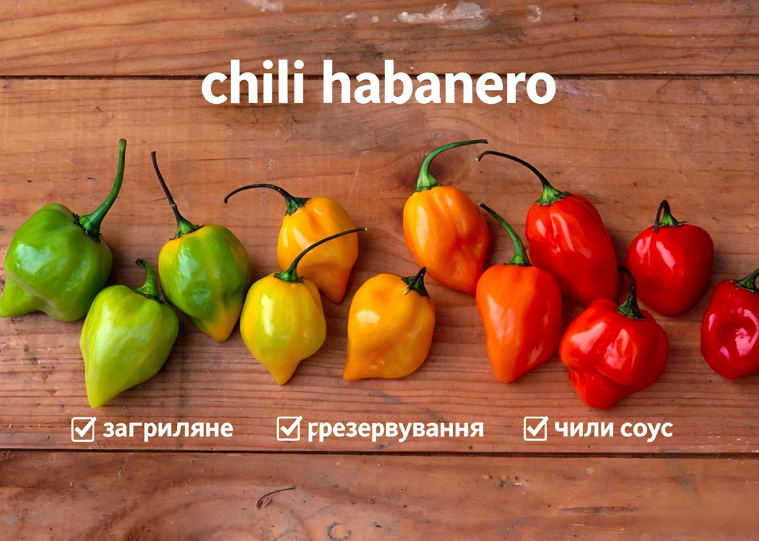 🌶️Семена от чили Habeno - Най-голямото вкусово предизвикателство! 🔥 (100 семена/опаковка)