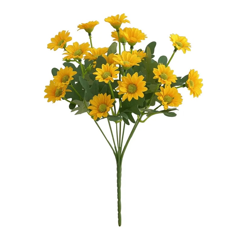  Sunset Mums Flowers