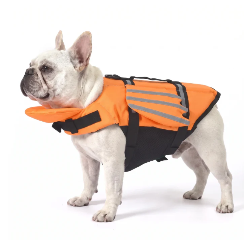 🔥Letzter Tag: 50 % Rabatt – Premium-Hundeschwimmweste