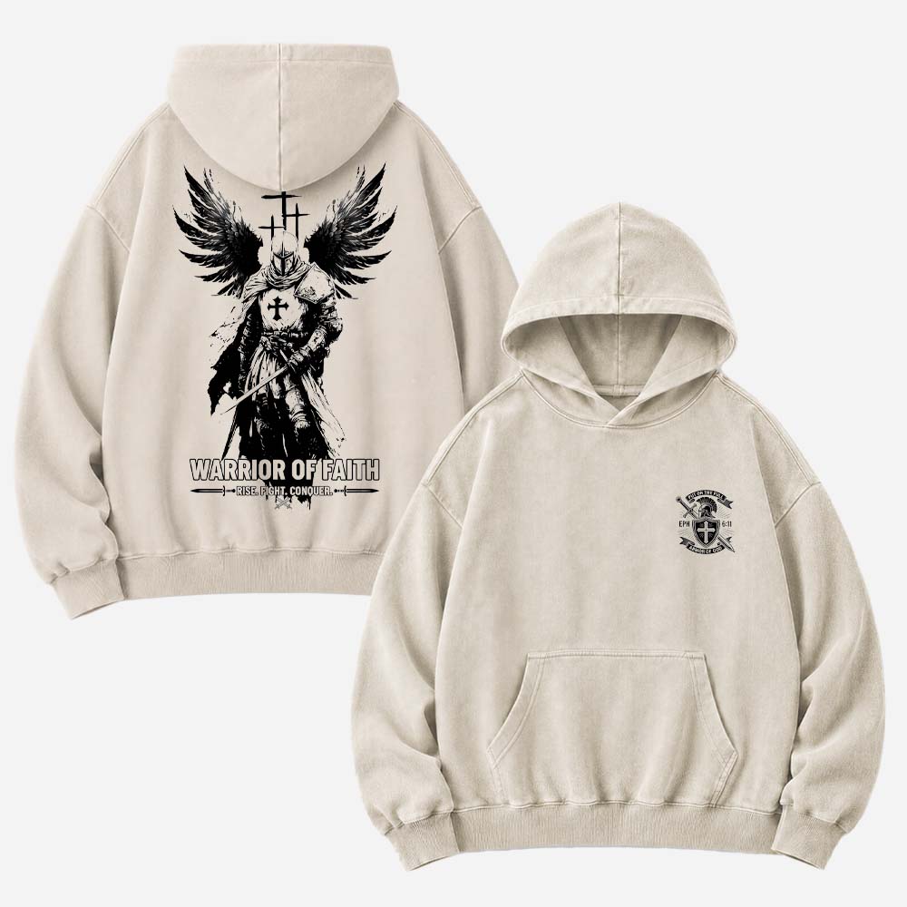 Winged Knight Vintage Washed Hoodie