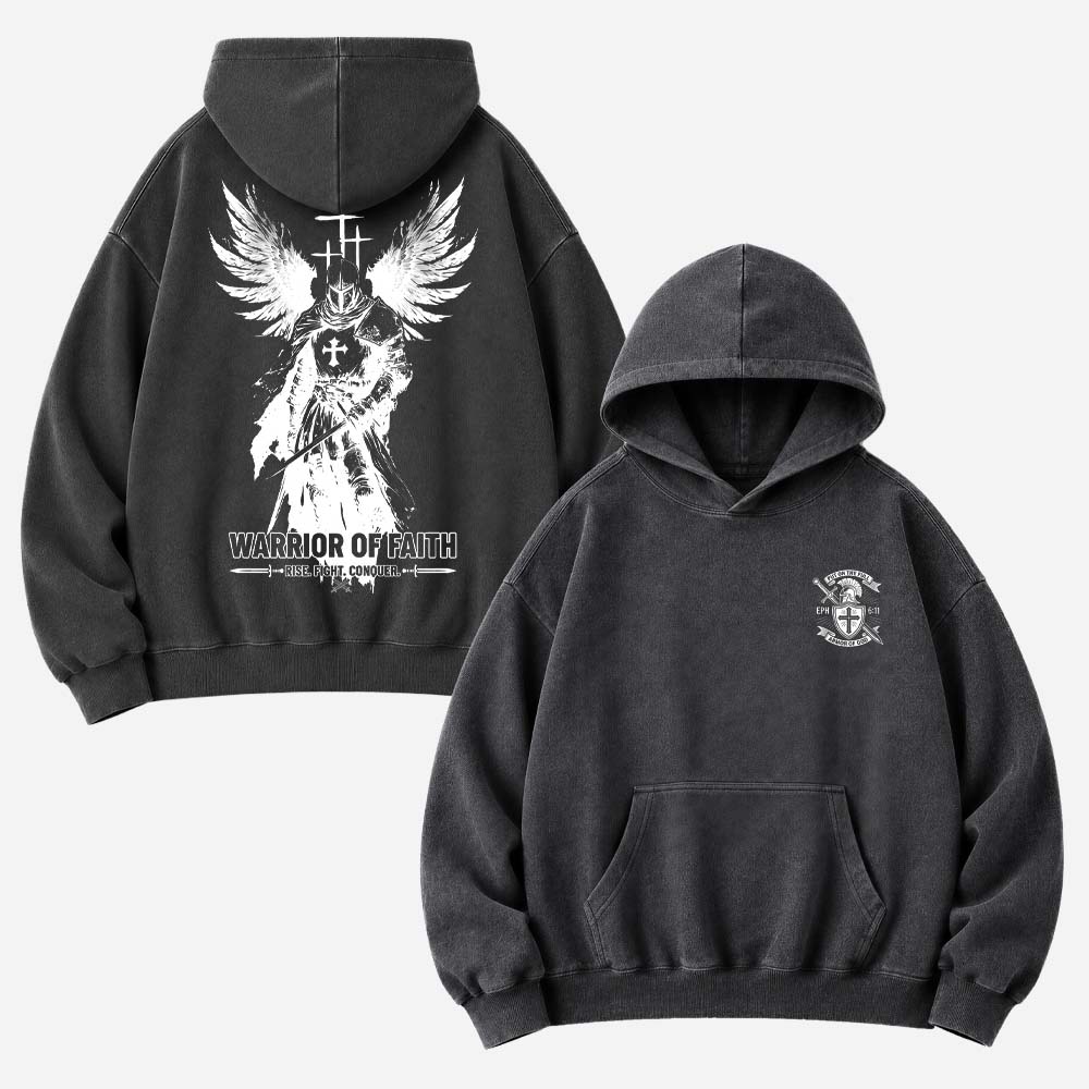 Winged Knight Vintage Washed Hoodie