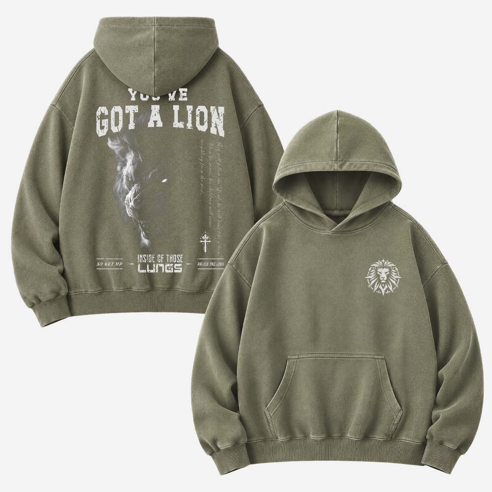 You've Got A Lion Vintage Washed Hoodie
