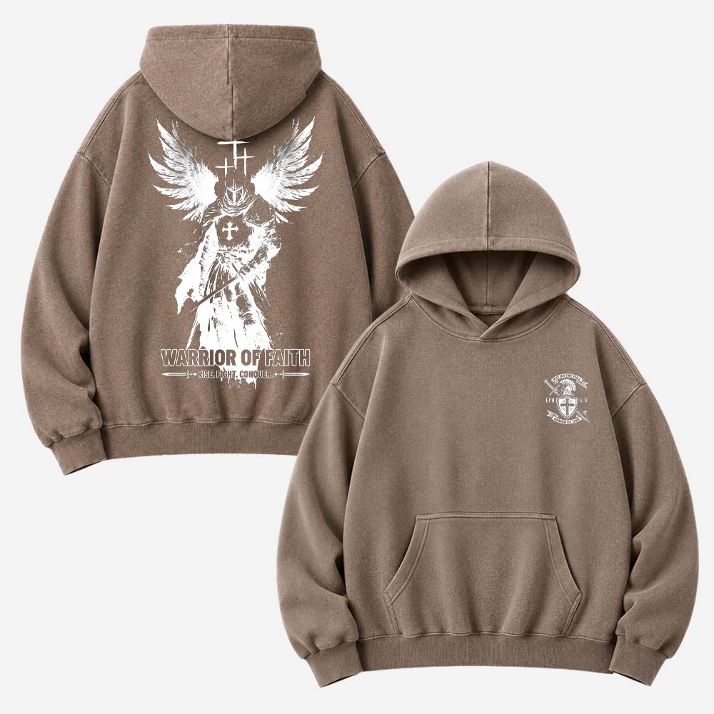 Winged Knight Vintage Washed Hoodie
