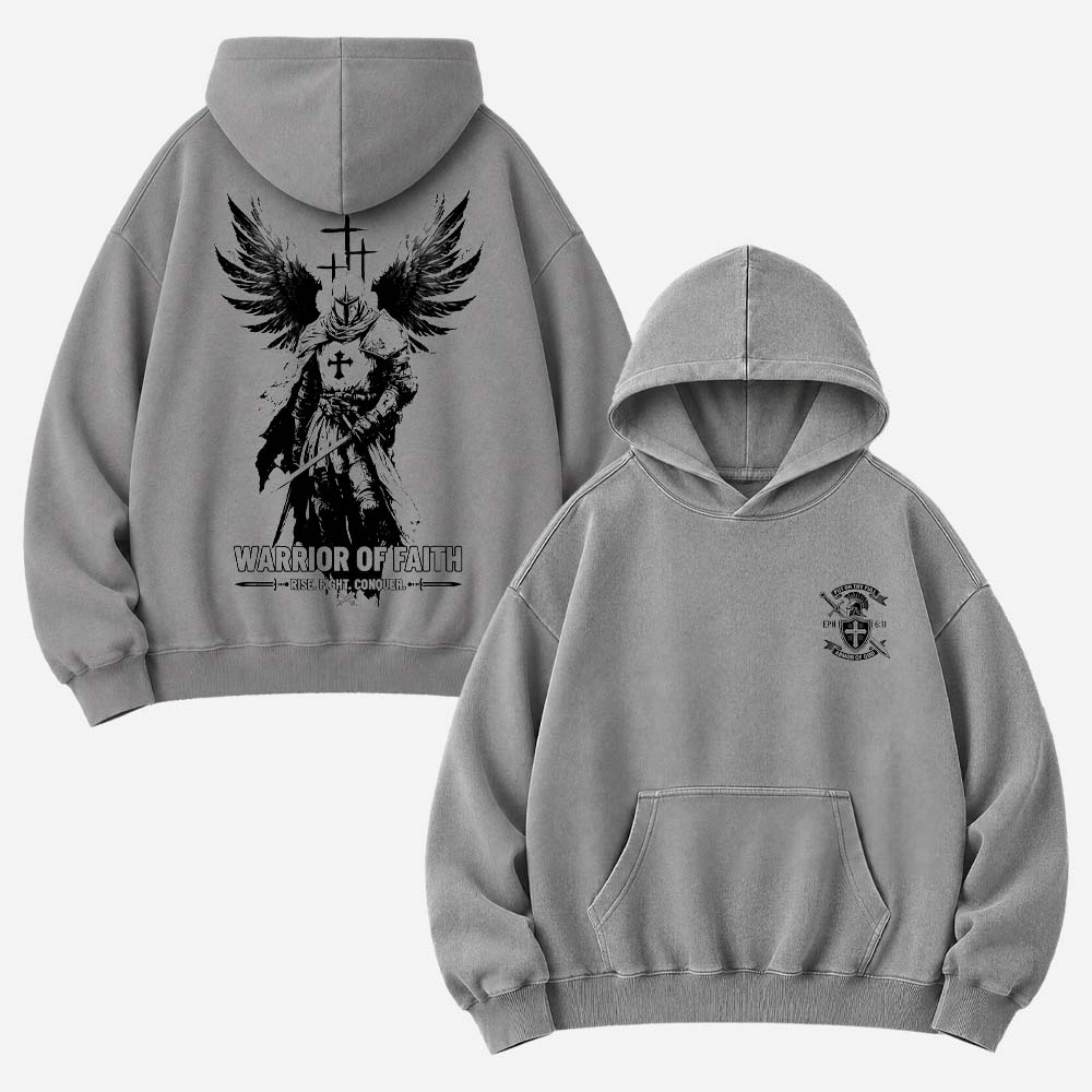 Winged Knight Vintage Washed Hoodie