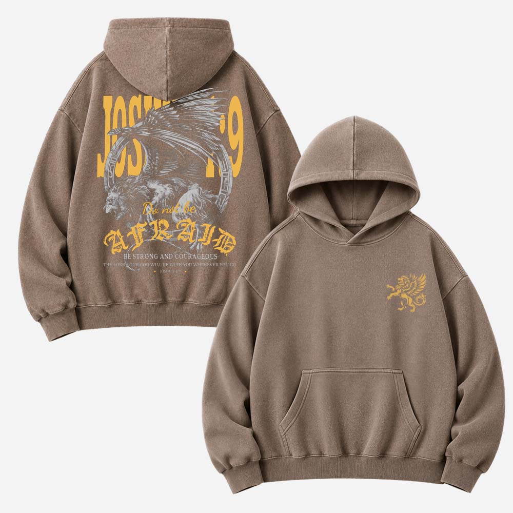 Fearless Vintage Washed Hoodie